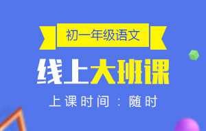 初一年級語文線上10人大班課